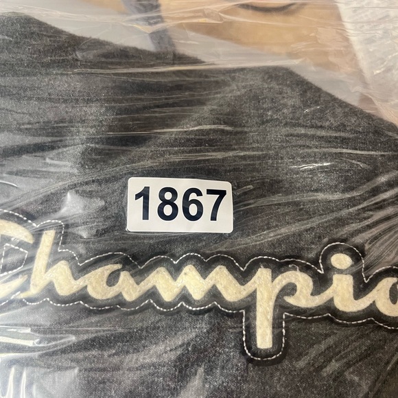 Champion Embroidered Spellout Hoodie Sweatshirt Mens M Retro Classic 1867 - Picture 7 of 7